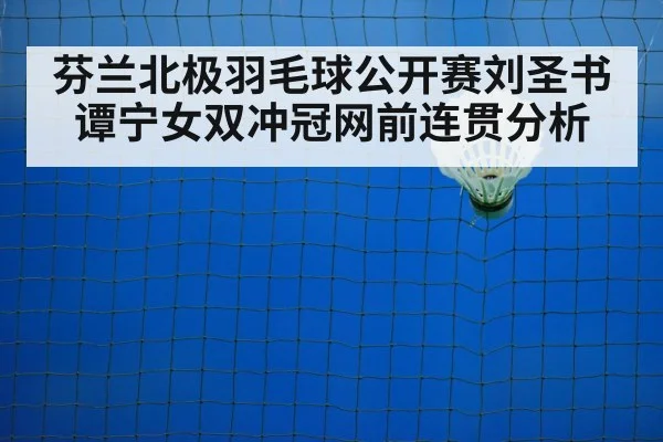 badminton net shot