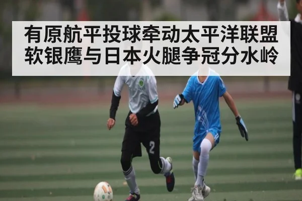有原航平投球牵动太平洋联盟 软银鹰与日本火腿争冠分水岭（kaiyun）